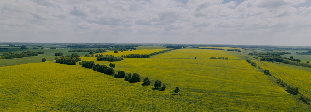 DJI_0707.jpg